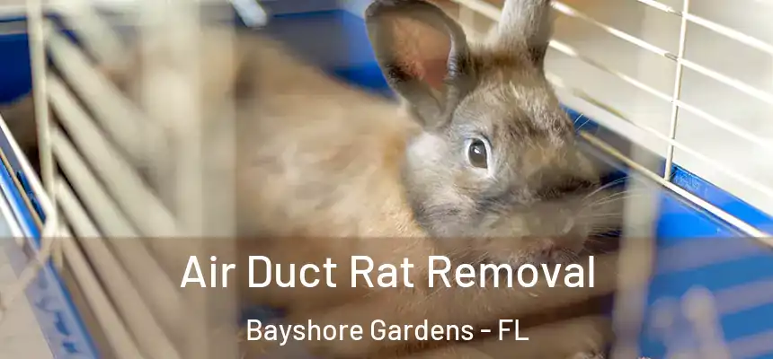 Air Duct Rat Removal Bayshore Gardens - FL