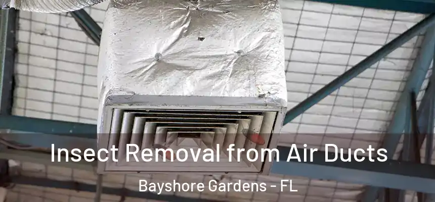 Insect Removal from Air Ducts Bayshore Gardens - FL