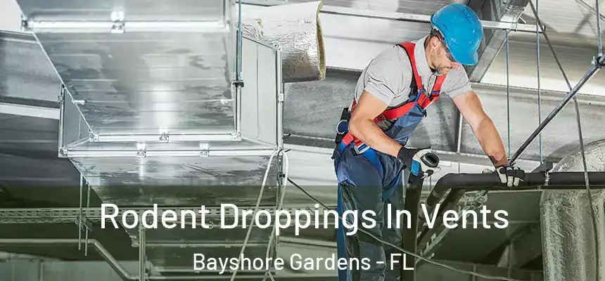 Rodent Droppings In Vents Bayshore Gardens - FL