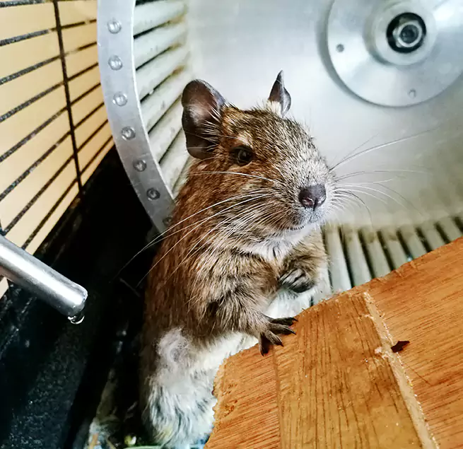 Why Homeowners & Businesses Trust Us Bayshore Gardens, FL